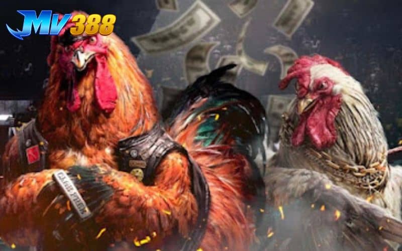 Hình ảnh được truyền tải sắc nét Full HD Hình ảnh được truyền tải sắc nét Full HD