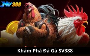 Khám Phá Đá Gà SV388