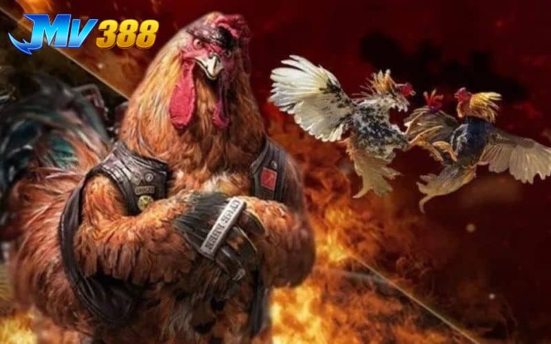 SV388 hoạt động lâu đời và được cấp phép bởi cơ quan có thẩm quyền SV388 hoạt động lâu đời và được cấp phép bởi cơ quan có thẩm quyền